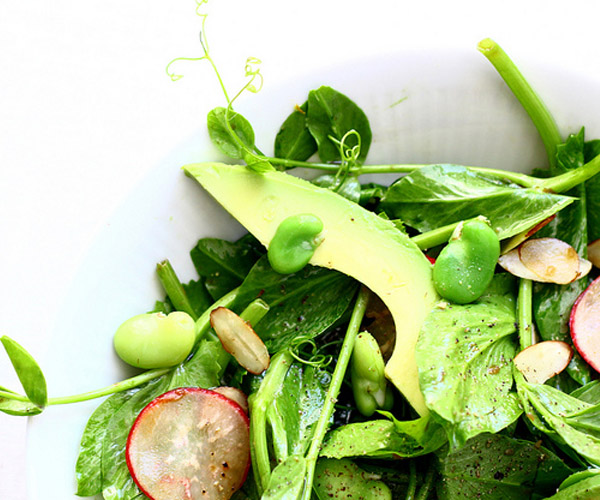 Pea Shoot Salad with Fava Beans